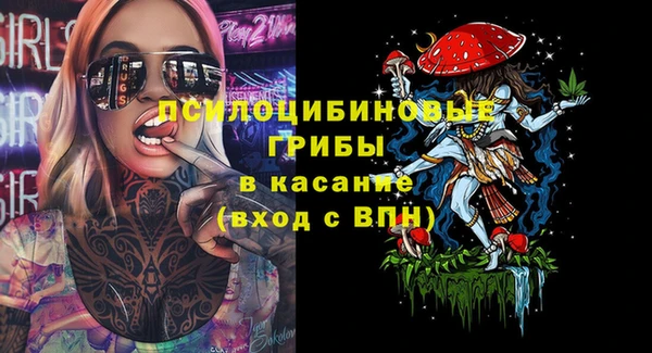 PSILOCYBIN Волоколамск